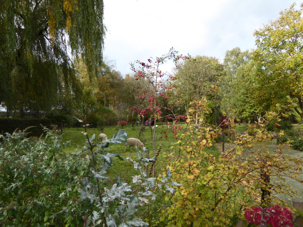 B&B Lyts Paradys uitzicht vanuit gastenkamer de Hooizolder