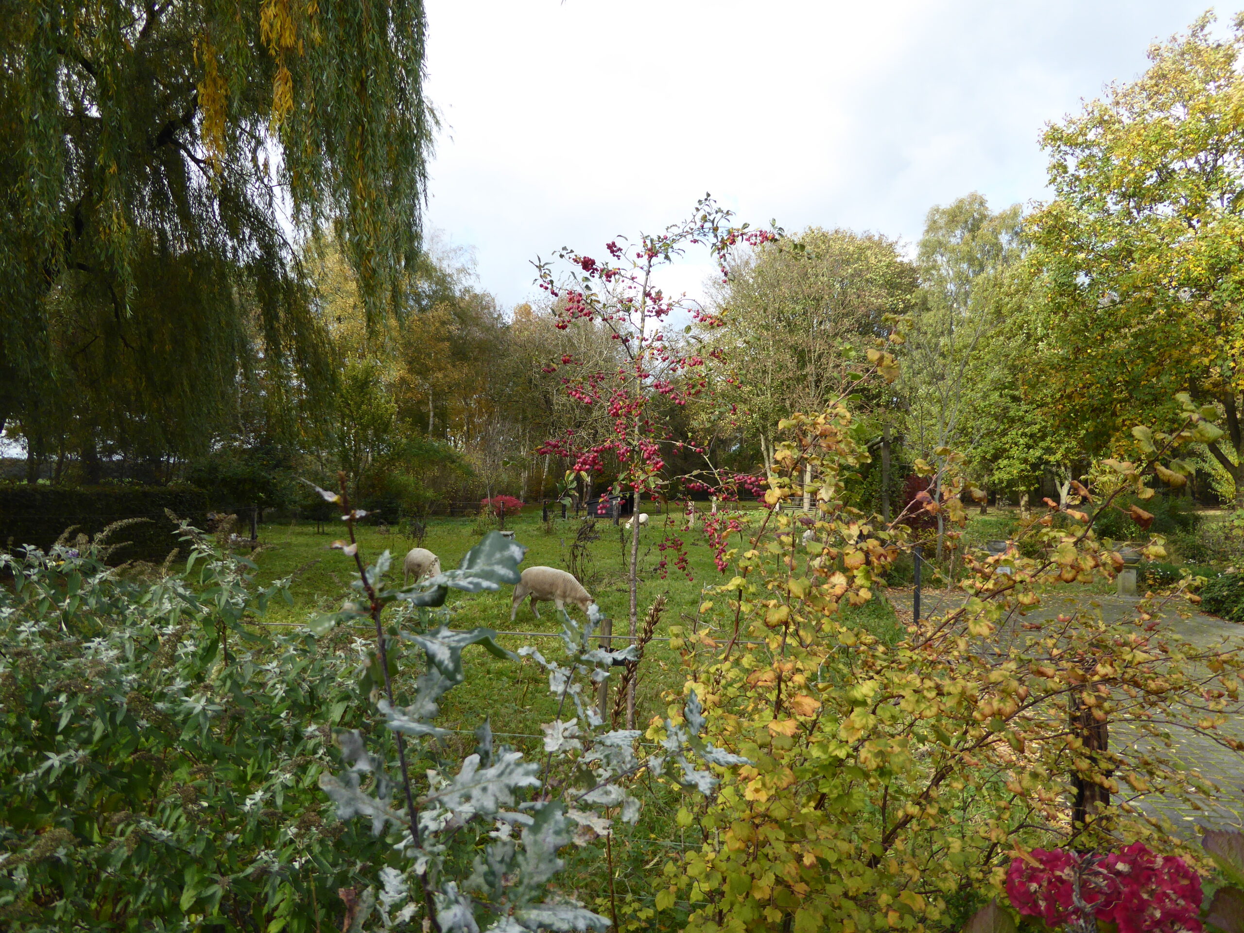 B&amp;B Lyts Paradys view from guest room the Hooizolder