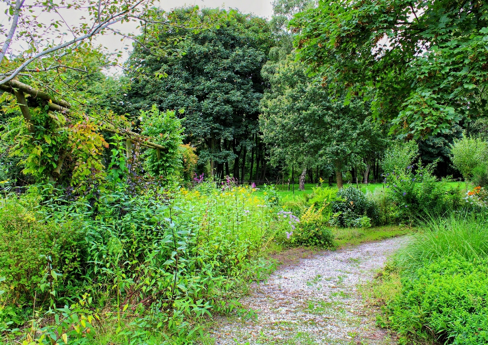 B&amp;B Lyts Paradys photo pond garden