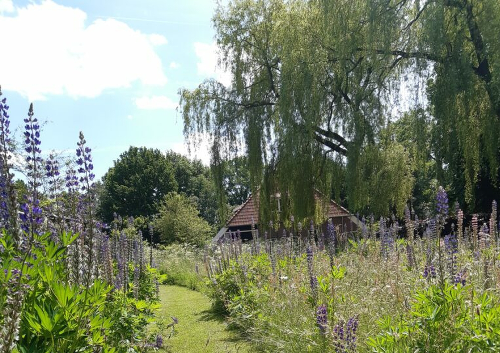 B&amp;B Lyts Paradys flower meadow with farmhouse