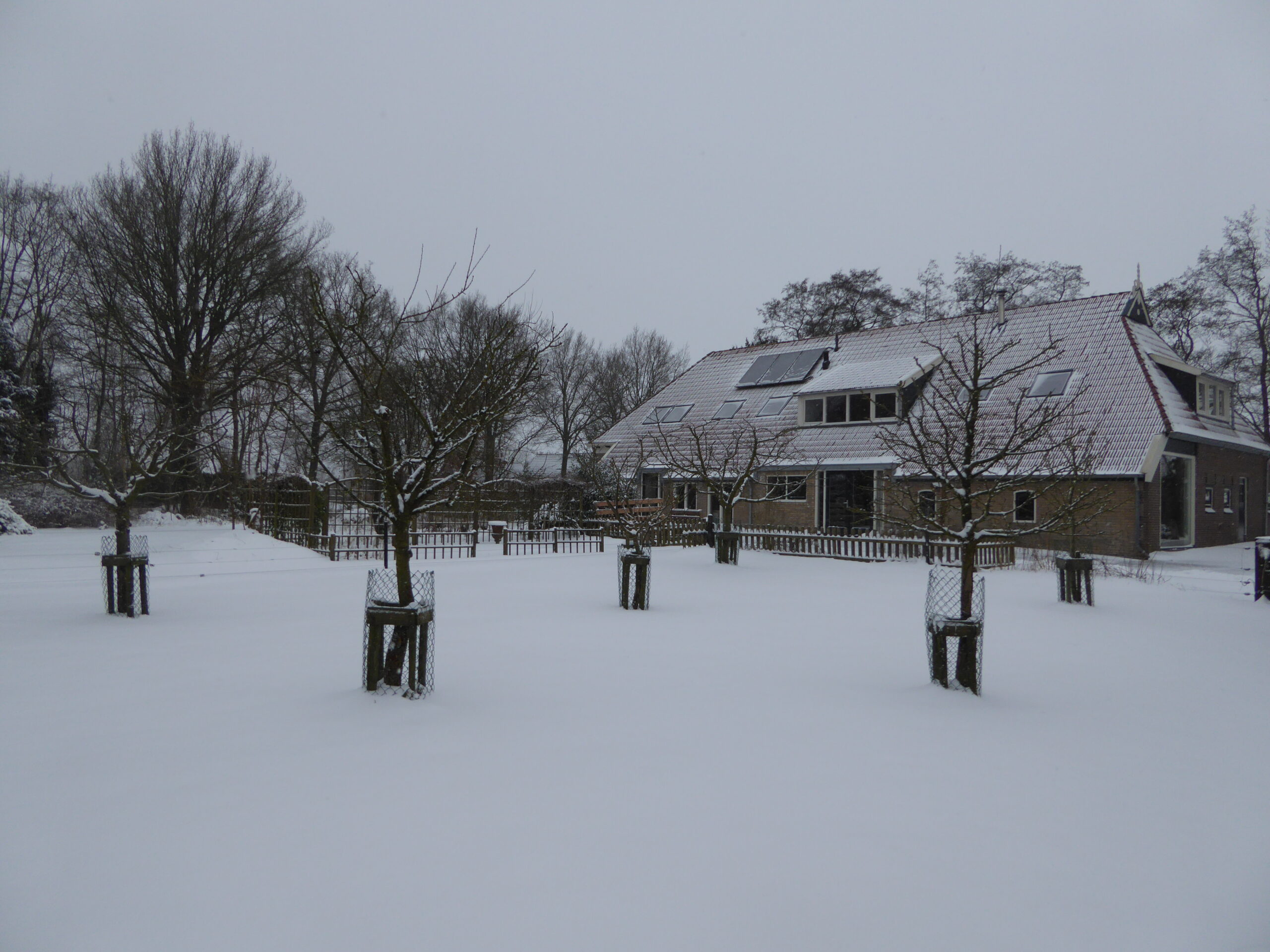 Winter 2021 the B&amp;B in snow