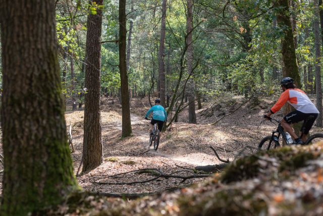 Photo mountain biking